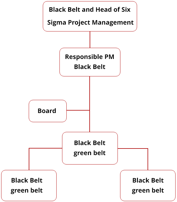 Six Sigma Program/Project Management Structure
