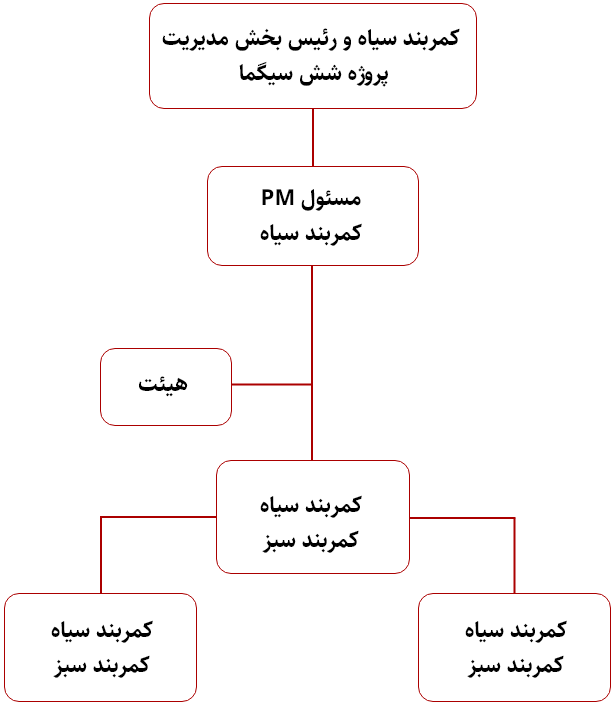 برنامه شش سیگما/ساختار مدیریت پروژه